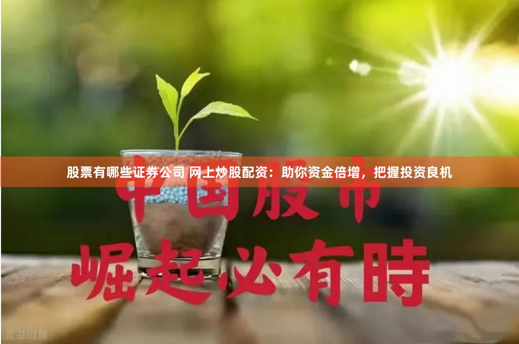 股票有哪些证券公司 网上炒股配资：助你资金倍增，把握投资良机